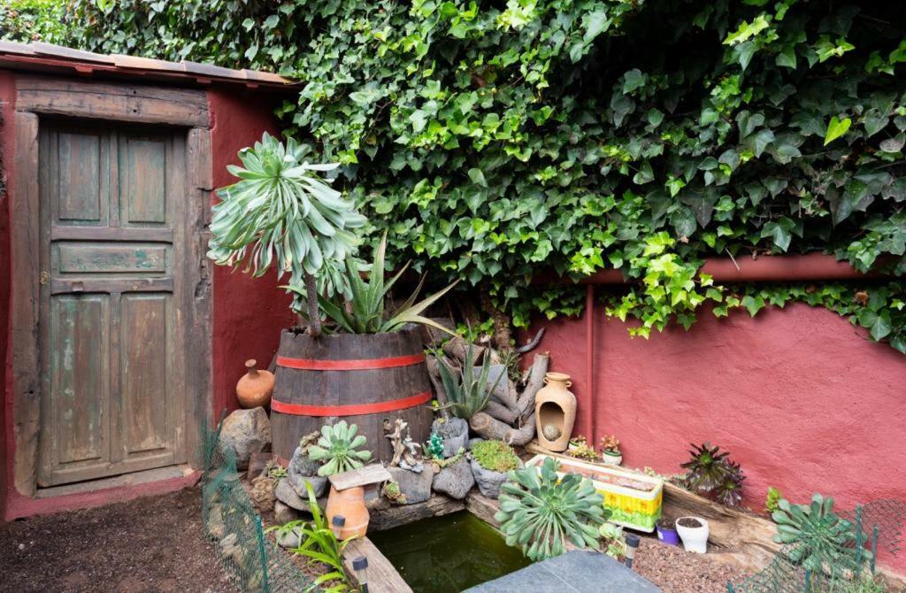 Casa Florida La Orotava Exterior photo
